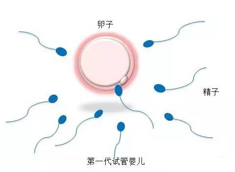 院长